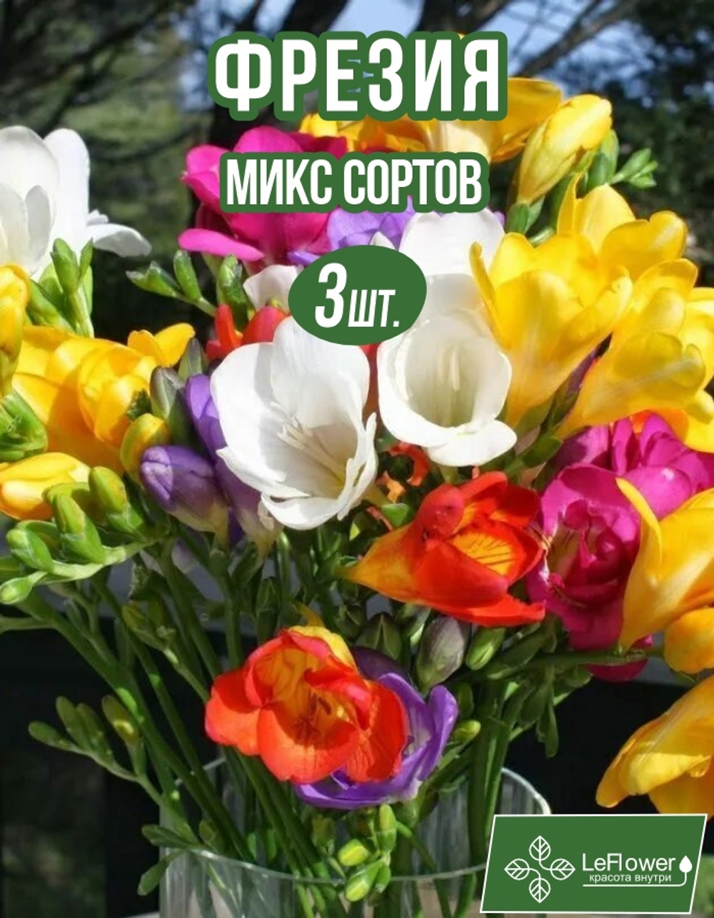 Луковица, Фрезия микс сортов  3шт