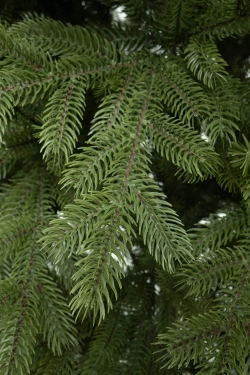 Искусственная елка Михайловская 210 см., 100% литая хвоя, ЕлкиТорг (242210)