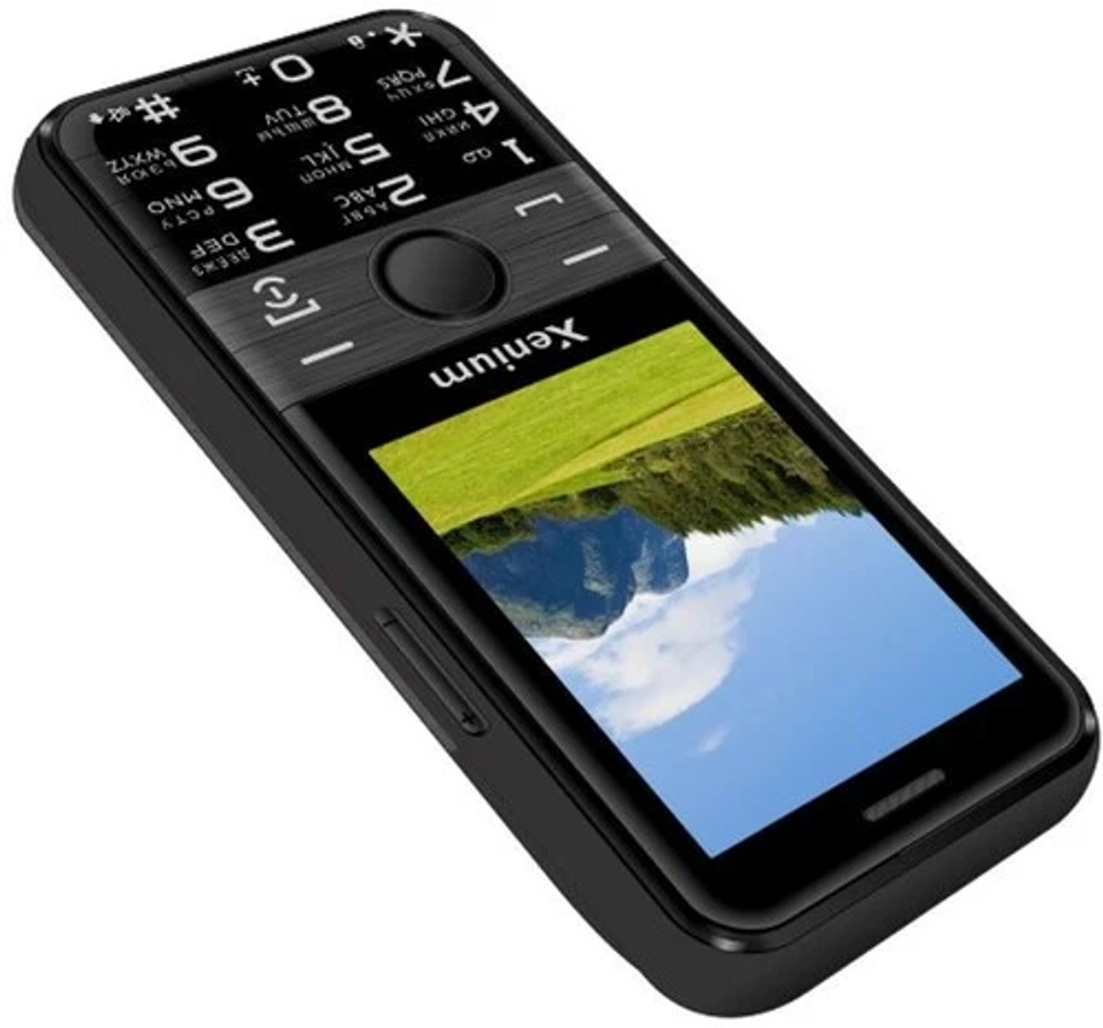 Сотовый телефон Xenium X800 black
