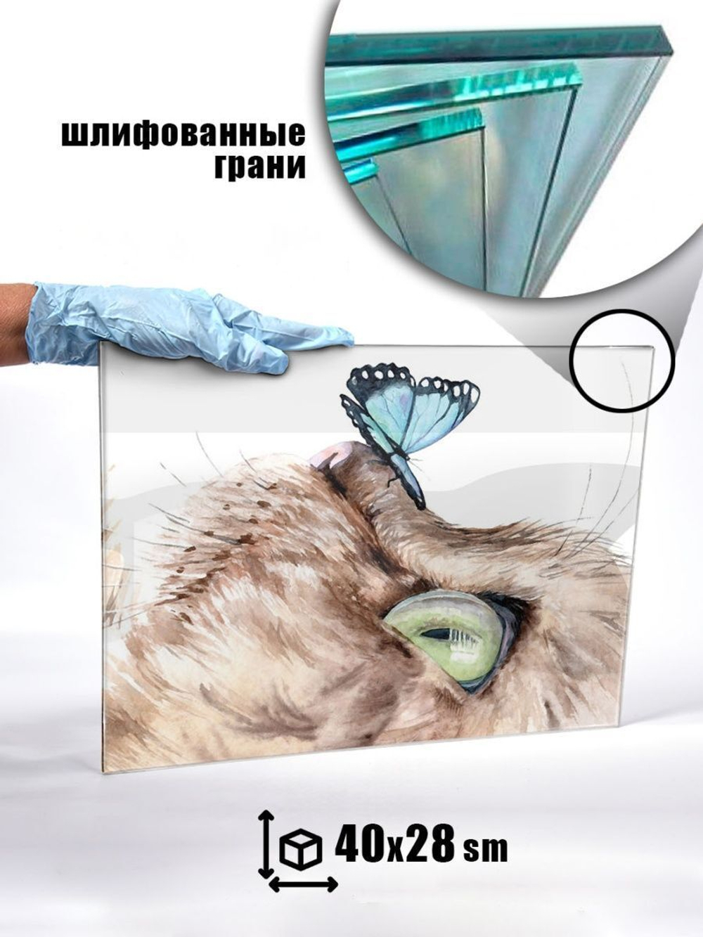 Фото картина на стекле с Бабочкой и Котенком (-)