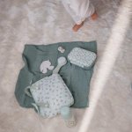 Комплект детских расчёсок Suavinex Birdies голубой