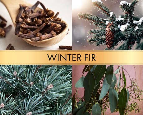 Winter fir (Зимняя ель)