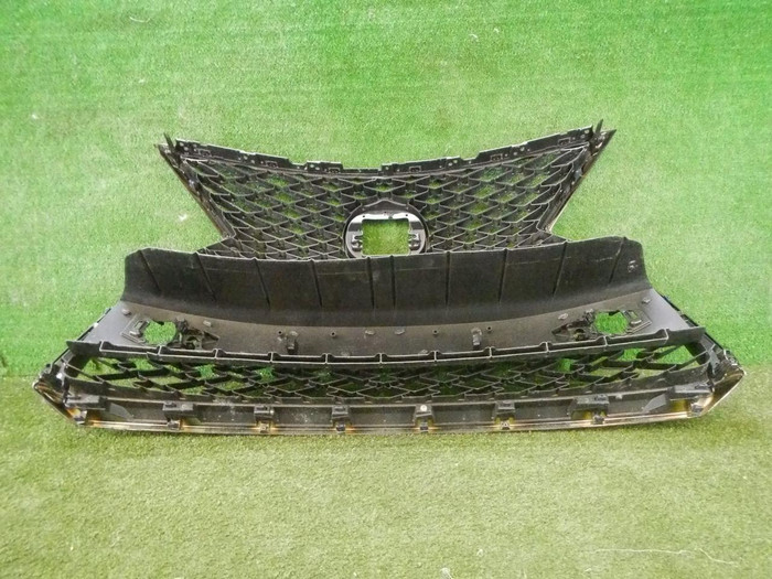 DSCN9379.jpg