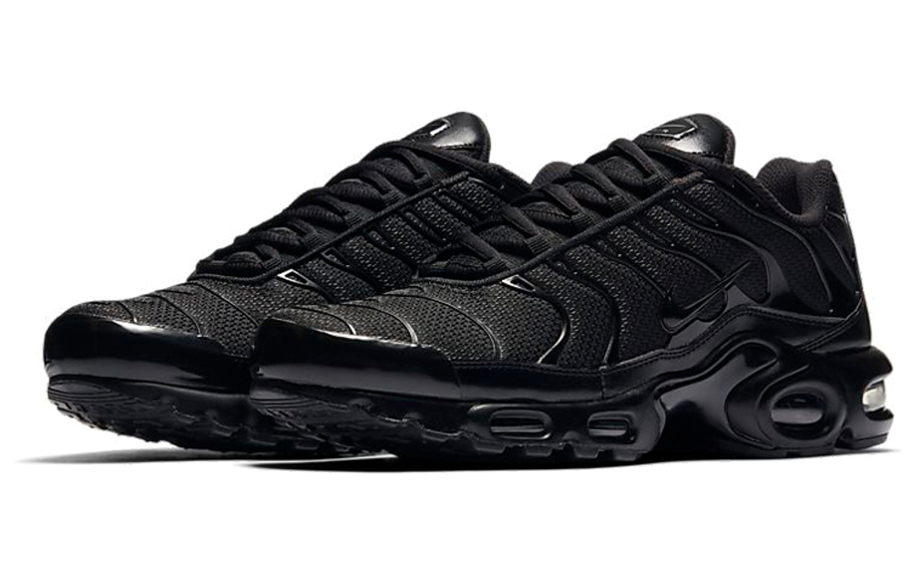 Кроссовки Nike Air Max Plus