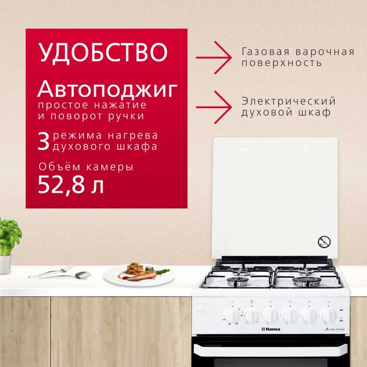 Комбинированная плита Hansa FCMW530031A