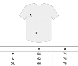 Футболка мужская Nike SB Logo