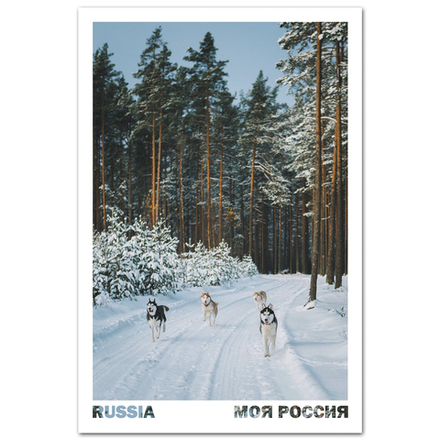 Никогда не останавливайся. Лосево, Ленинградская область