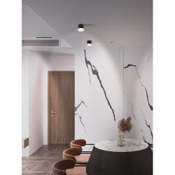 Светильник настенно-потолочный спот ЭРА OL37 BK под GX53 IP20 черный