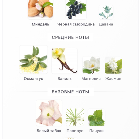 AMOUAGE Sunshine For Woman