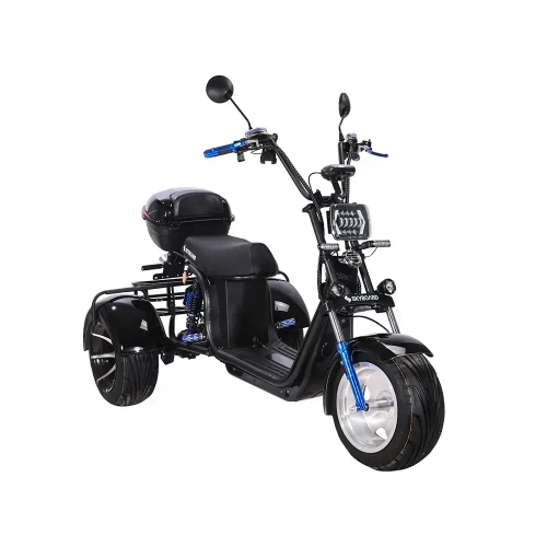 Skyboard TRIKE BR60-3000 PRO FAST