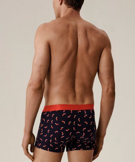 Трусы мужские боксеры (2шт) Atlantic 2GMH-027, хлопок, темно-синий