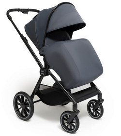 Коляска Agex Life 2 в 1 ALG511 Grey (Серый)