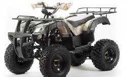 Квадроцикл MOTOLAND (МОТОЛЕНД) 200 ALL ROAD