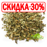 Лещина \ Фундук (лист)