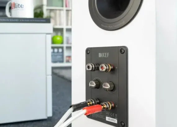 KEF R5 Walnut