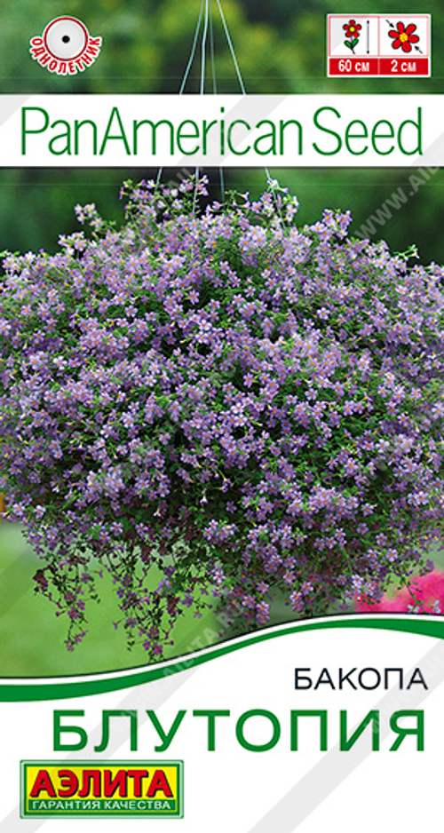 Бакопа ампельная Блутопия