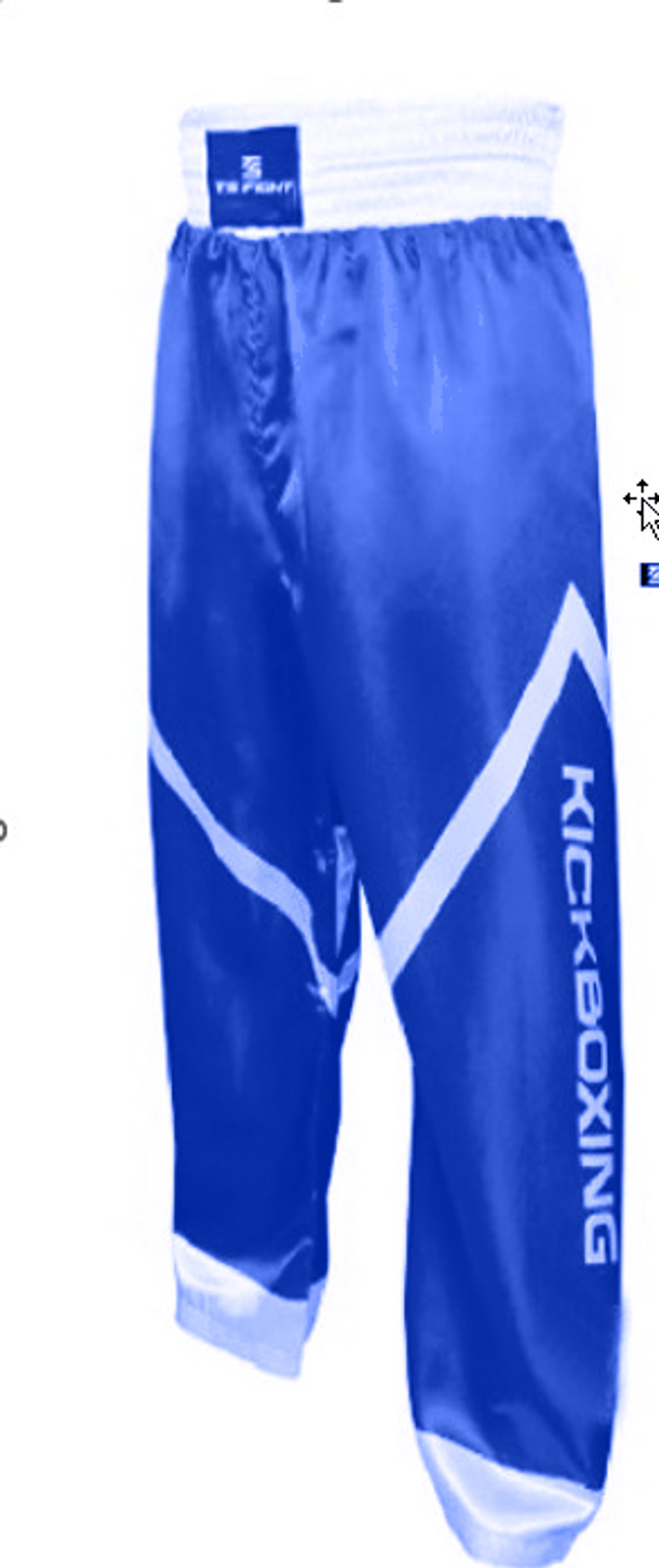 Брюки для кикбоксинга Tomorrow Star PRO синие