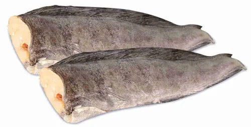 Зубатка синяя (1/25)