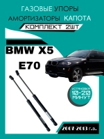 Газовые амортизаторы для капота BMW X5 E70 2007-2013 гг