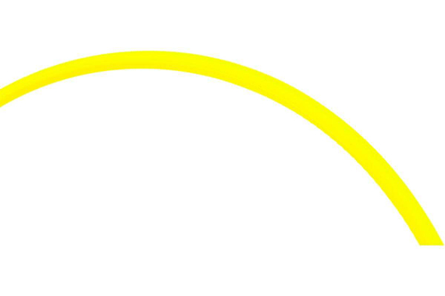 Корд триммер (леска) 3,0мм, 25м Champion звезда