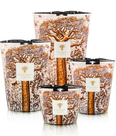 Dualla, свеча MAX 24 Sacred Trees collection, Baobab Collection