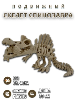 Скелет Динозавра