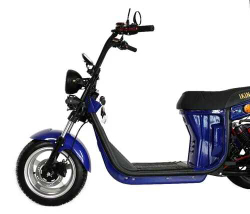 Электро трицикл грузовой IKIN-GI Q-30 3000W, 60V/45AH (синий)