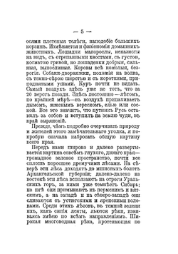 Лесное царство | Засодимский Павел Владимирович