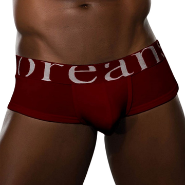 Мужские трусы брифы бордовые Doreanse 1779