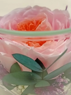 натуральный пион в стекле, вакуум*