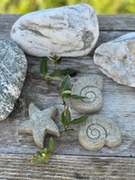 Мыло на зольном щелоке по старинным рецептам