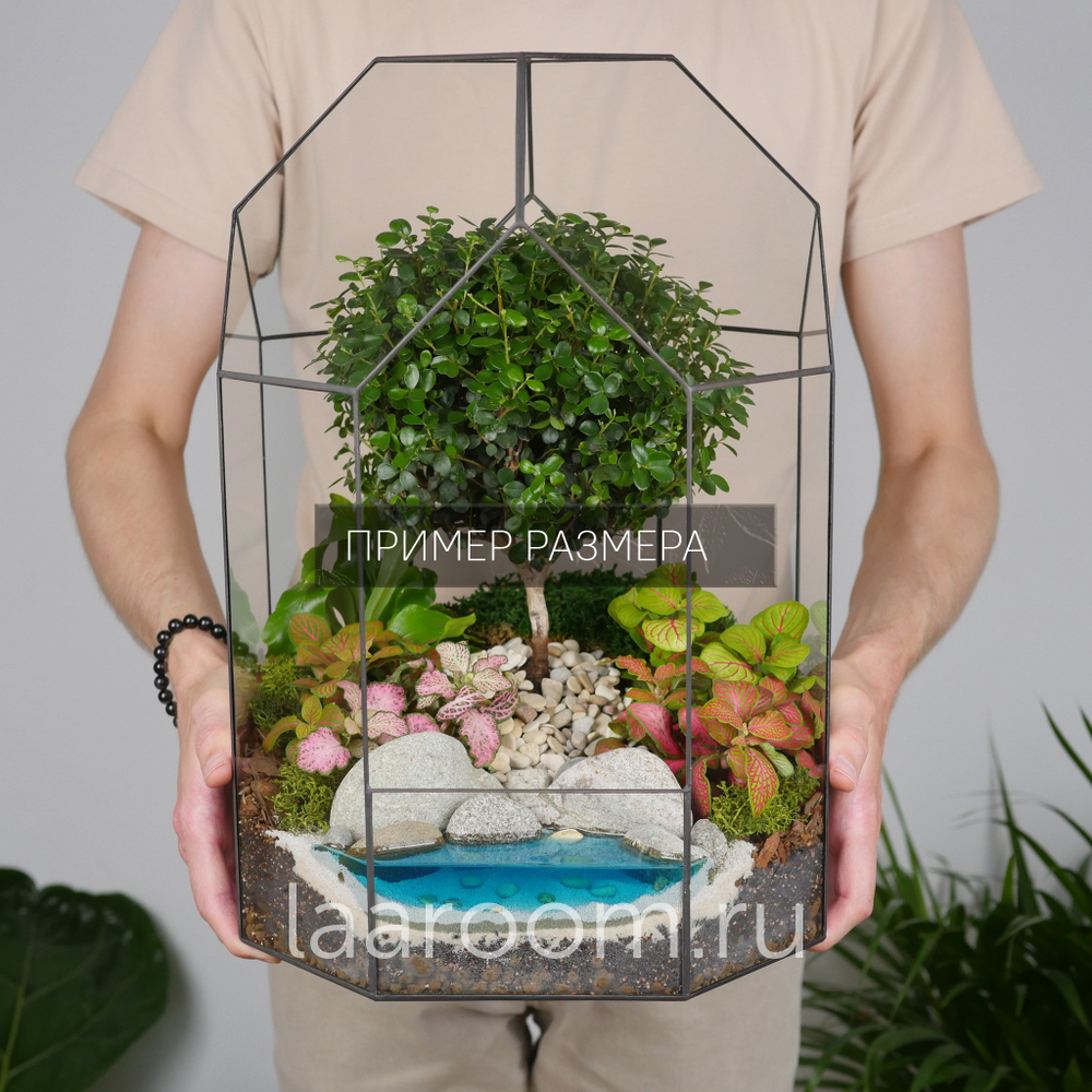 Готовый флорариум бонсай Японский вяз Бонсариум XL