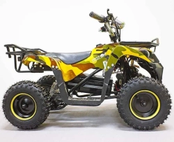 Электроквадроцикл Green Camel Гоби K40 (36V 800W R6 Цепь) быстросъем