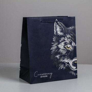 Пакет ламинированный вертикальный «Сильному духом», MS 18 × 23 × 10 см   4733794