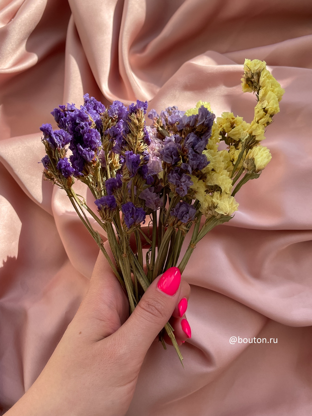 Сухоцветы желтый с фиолетовым