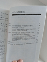 Степан Разин и его соратники