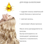Масло амлы / Amla Oil