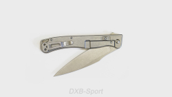 Daggerr Condor Coyote