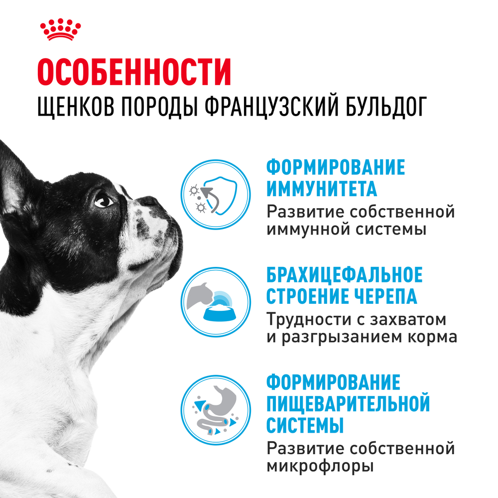Сухой корм Royal Canin French Bulldog Puppy для щенков породы Французский Бульдог до 12 месяцев 10кг