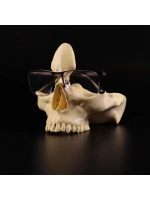 Подставка череп для очков и мелочей в прихожую, 3D печать
