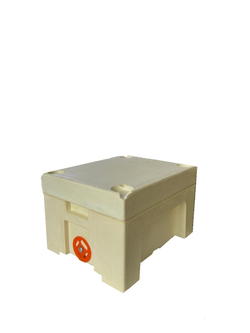 Мининуклеус типа Kieler