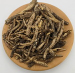 Вздутоплодник сибирский (корень)