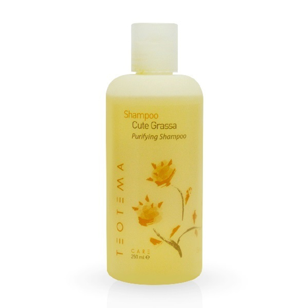 Шампунь для жирных волос Teotema Sebum Specific Purifying Shampoo 250мл