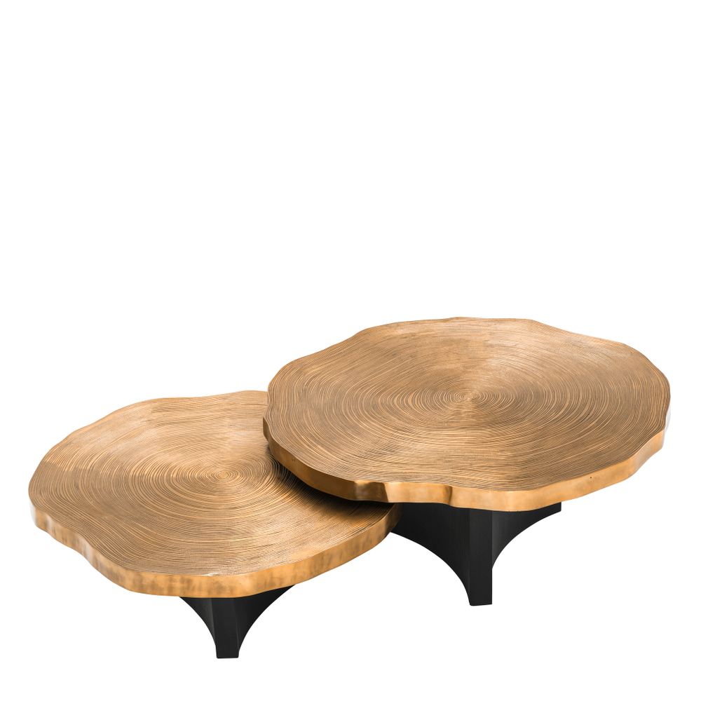 Журнальный столик Coffee Table Thousand Oaks set of 2 арт.113295