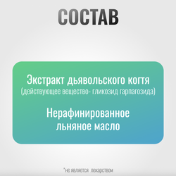 Эликсир ДЬЯВОЛЬСКИЙ КОГОТЬ ArtroPro на основе льняного масла для лошадей Horse-Bio, 1000 мл