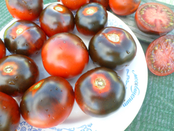 Помидоры - Blue Chocolate - Синий Шоколад