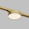 Трековый светодиодный светильник Denkirs Shine Flow Zigbee DK5962-SB