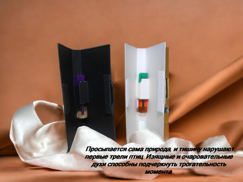 Туалетная вода женская СвеТLана Mr. Newl C&M052-00 1 мл