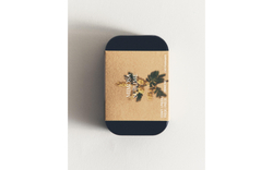 Zara Home Ароматизатор для автомобиля и шкафа Mimosa Sublime, подвесной