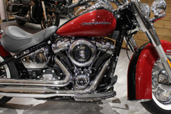 Harley-Davidson® Softail® Deluxe™ (FLDE) 2020